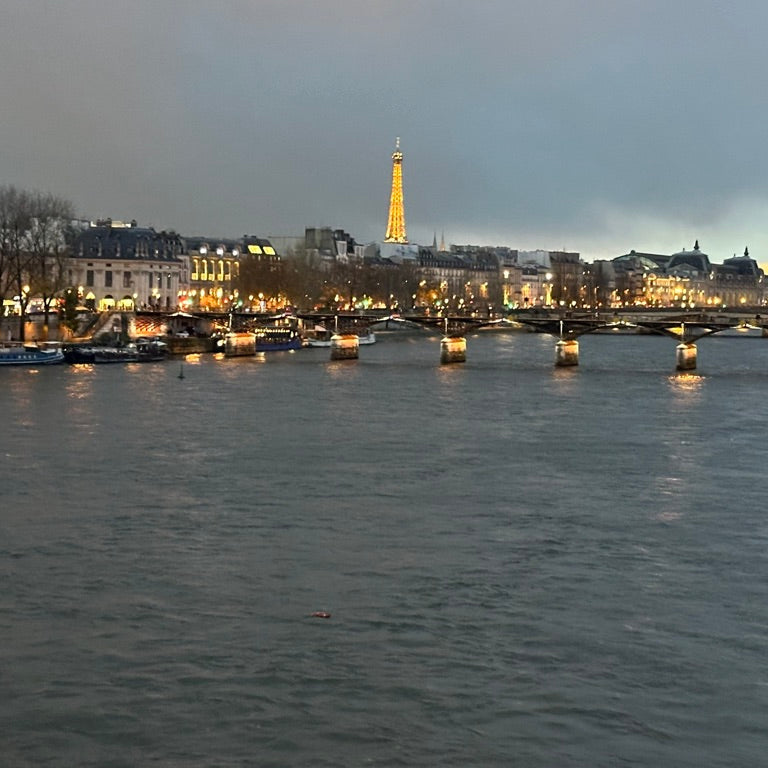 Paris and the Seine at dusk, near Christmas markets